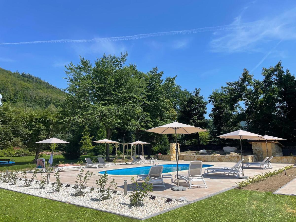 Stronie Śląskie Villa Elise Park Pension מראה חיצוני תמונה