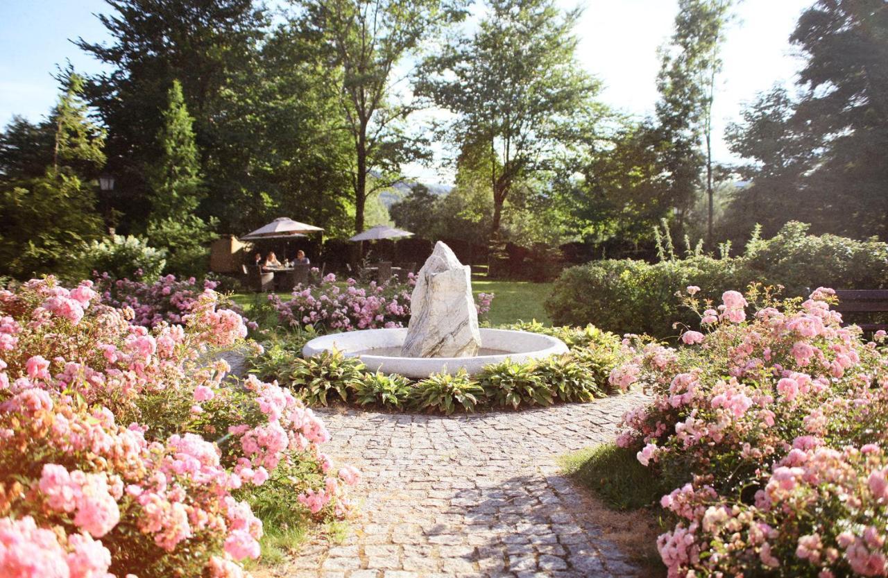 Stronie Śląskie Villa Elise Park Pension מראה חיצוני תמונה